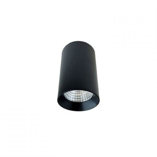 NS226 - Image 2