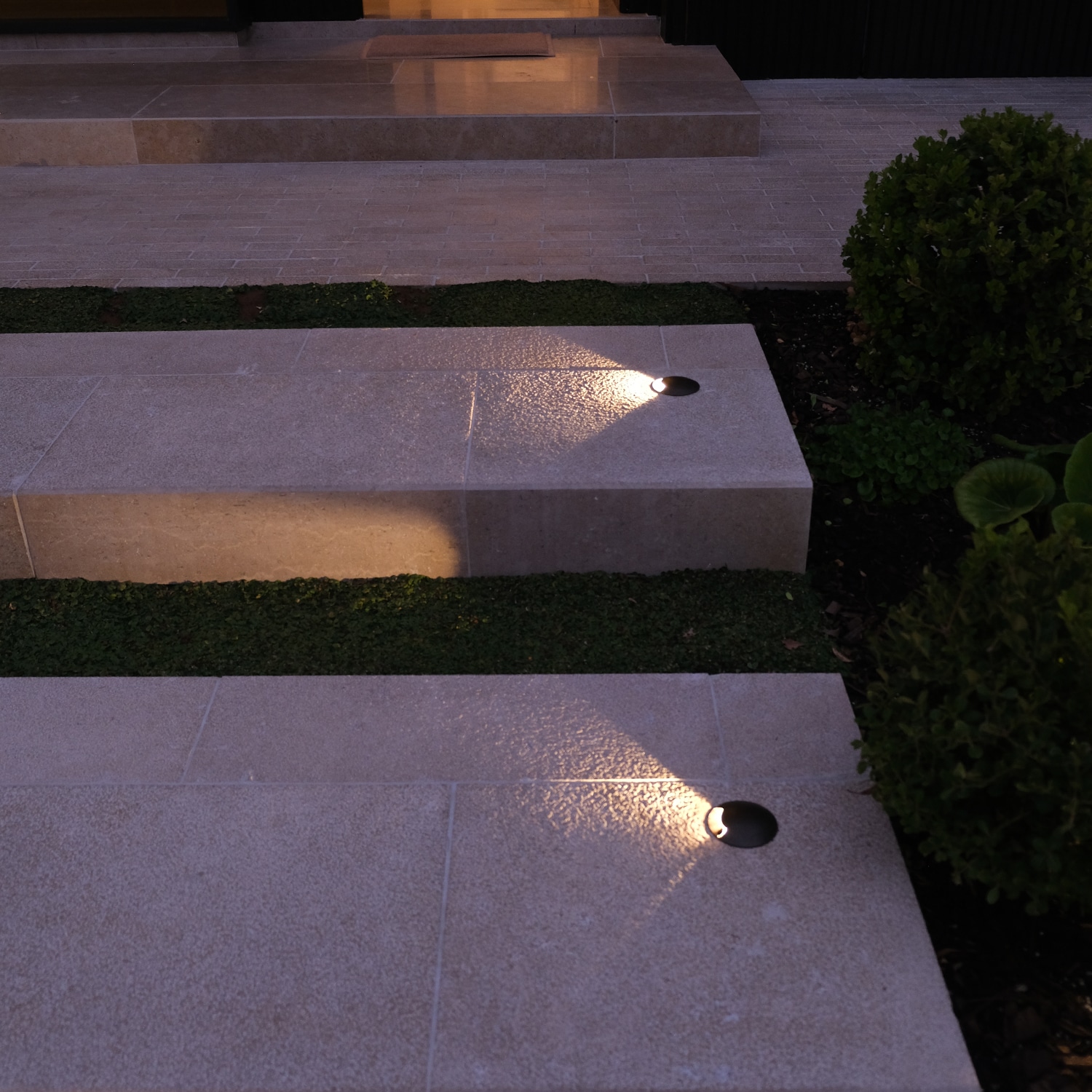 TLI-R163 | The Light Impact